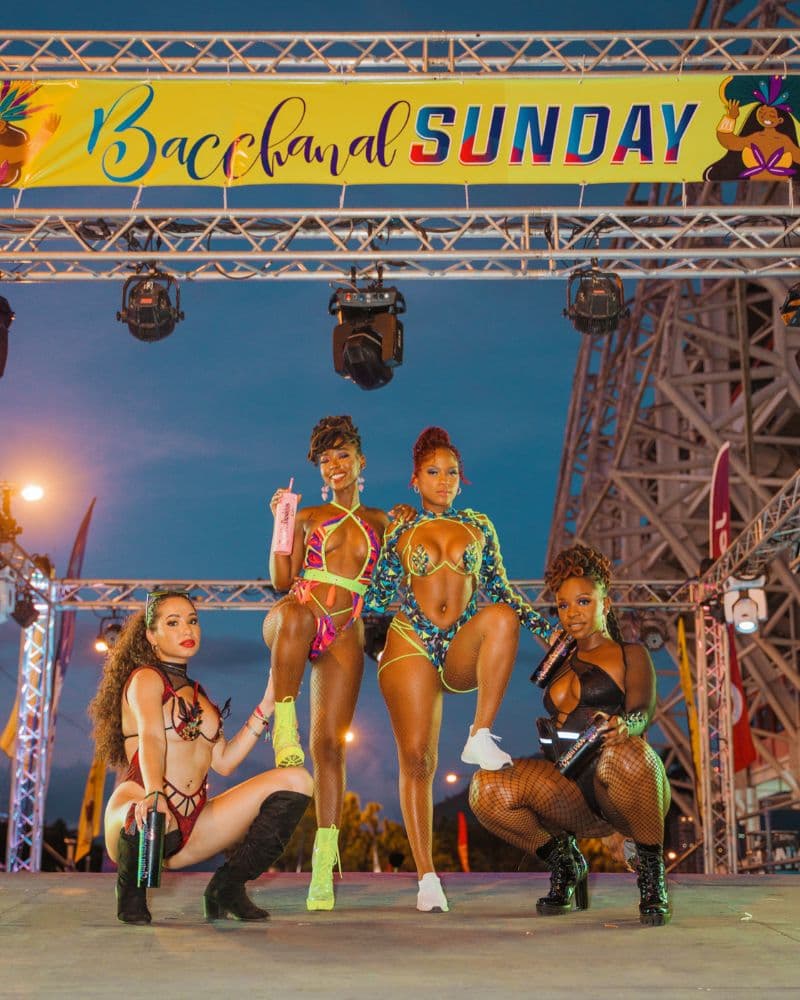 Second section image